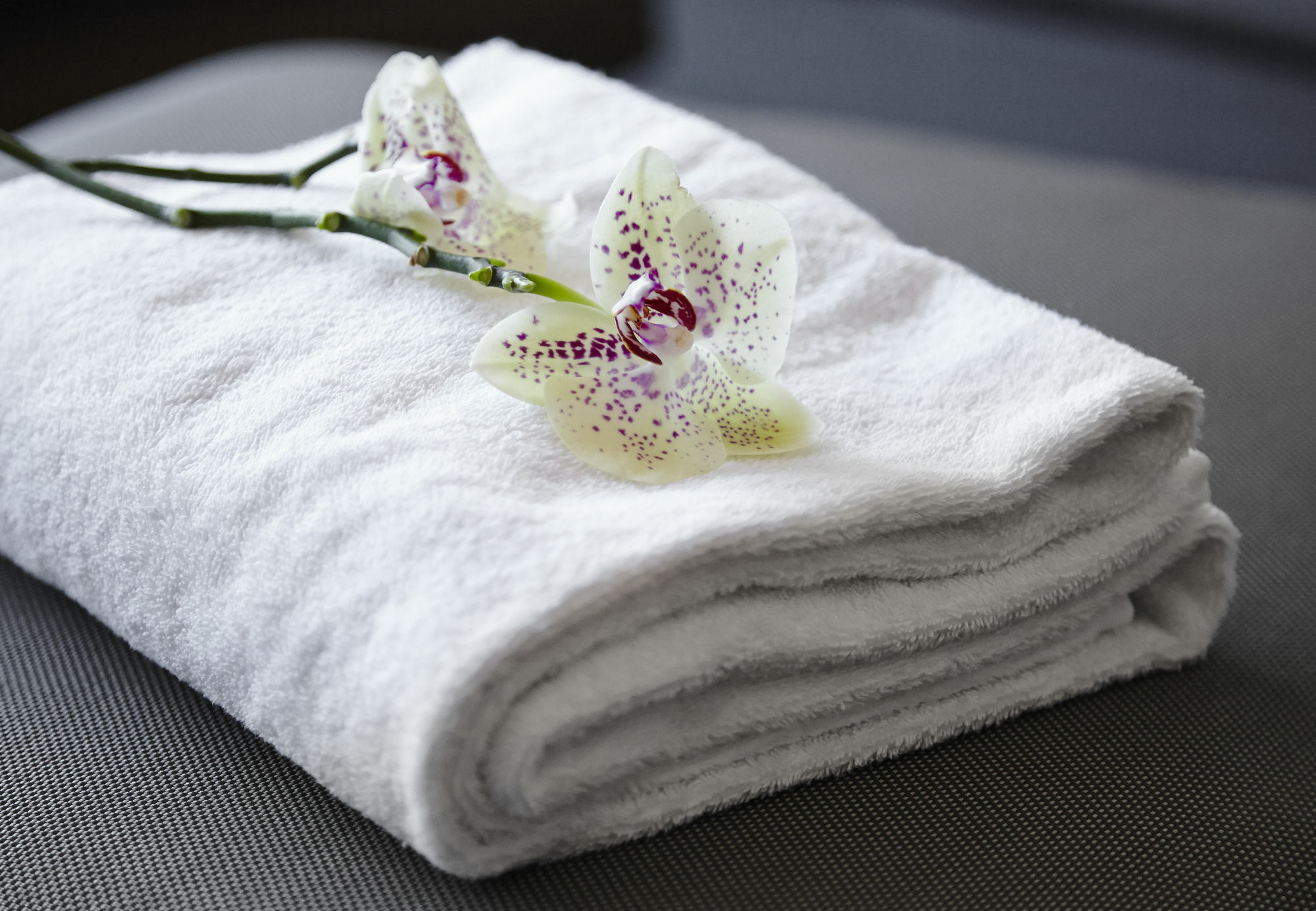 Milling Saxildhus Hotel Kolding